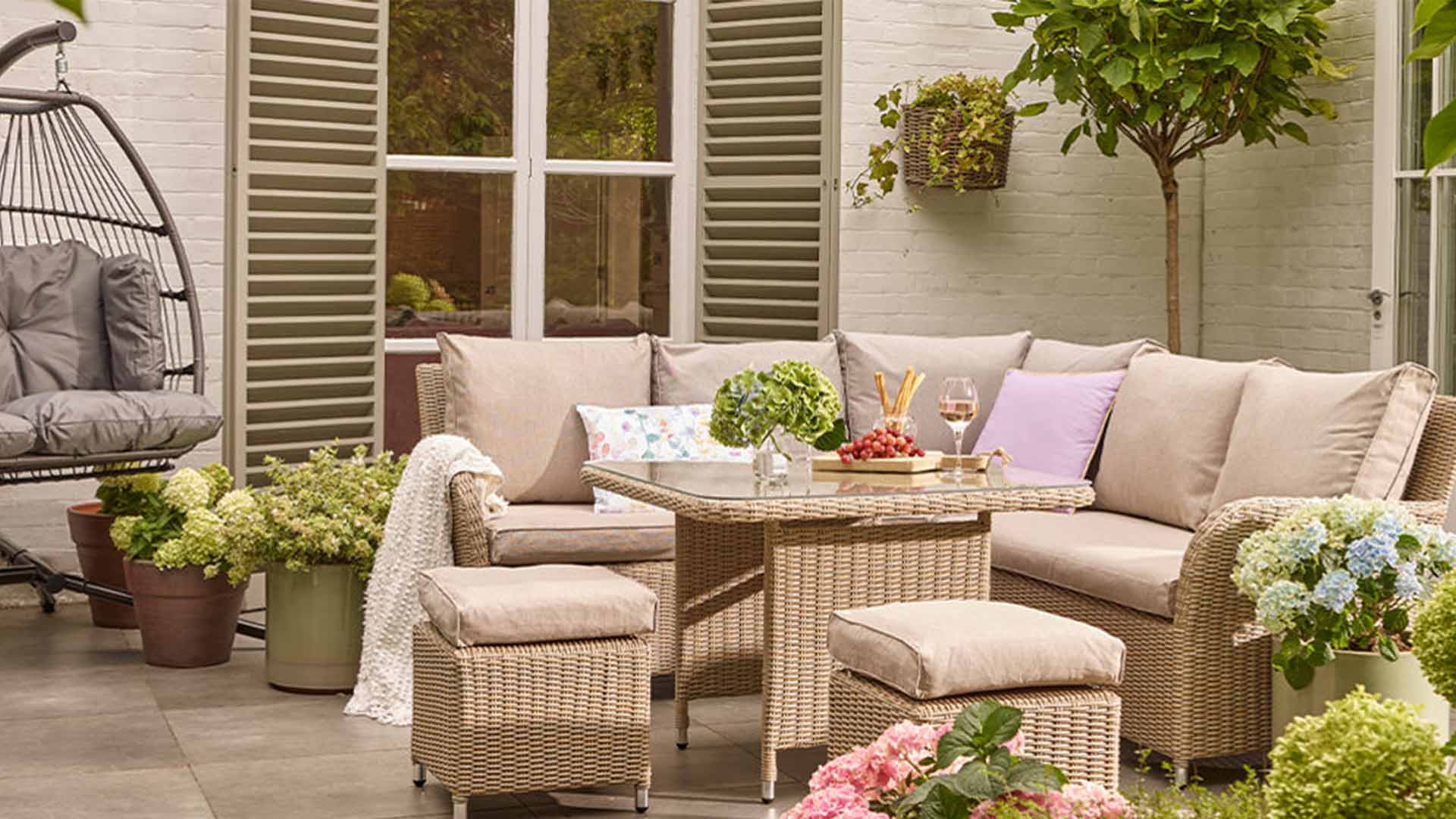 dobbies-webn-image (1)