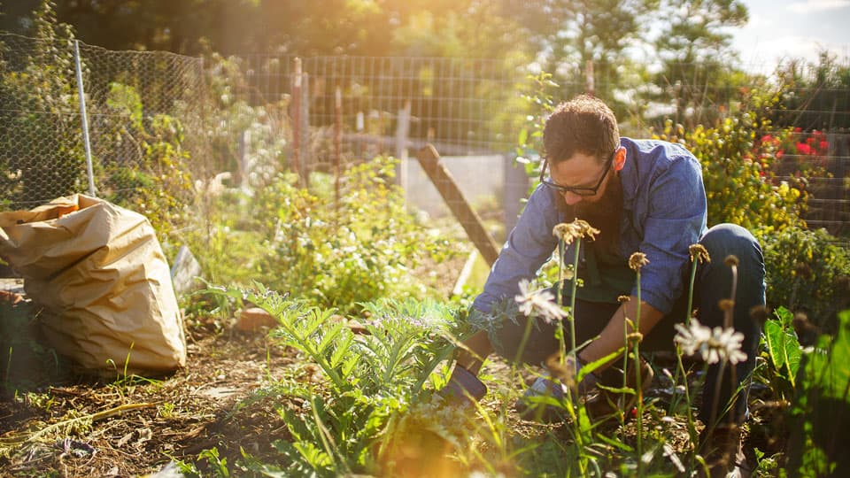 gardeningFEATUREDIMAGE