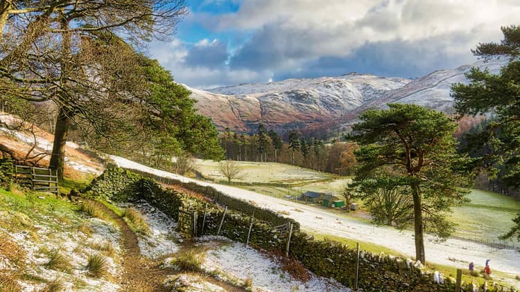 GRIZEDALE