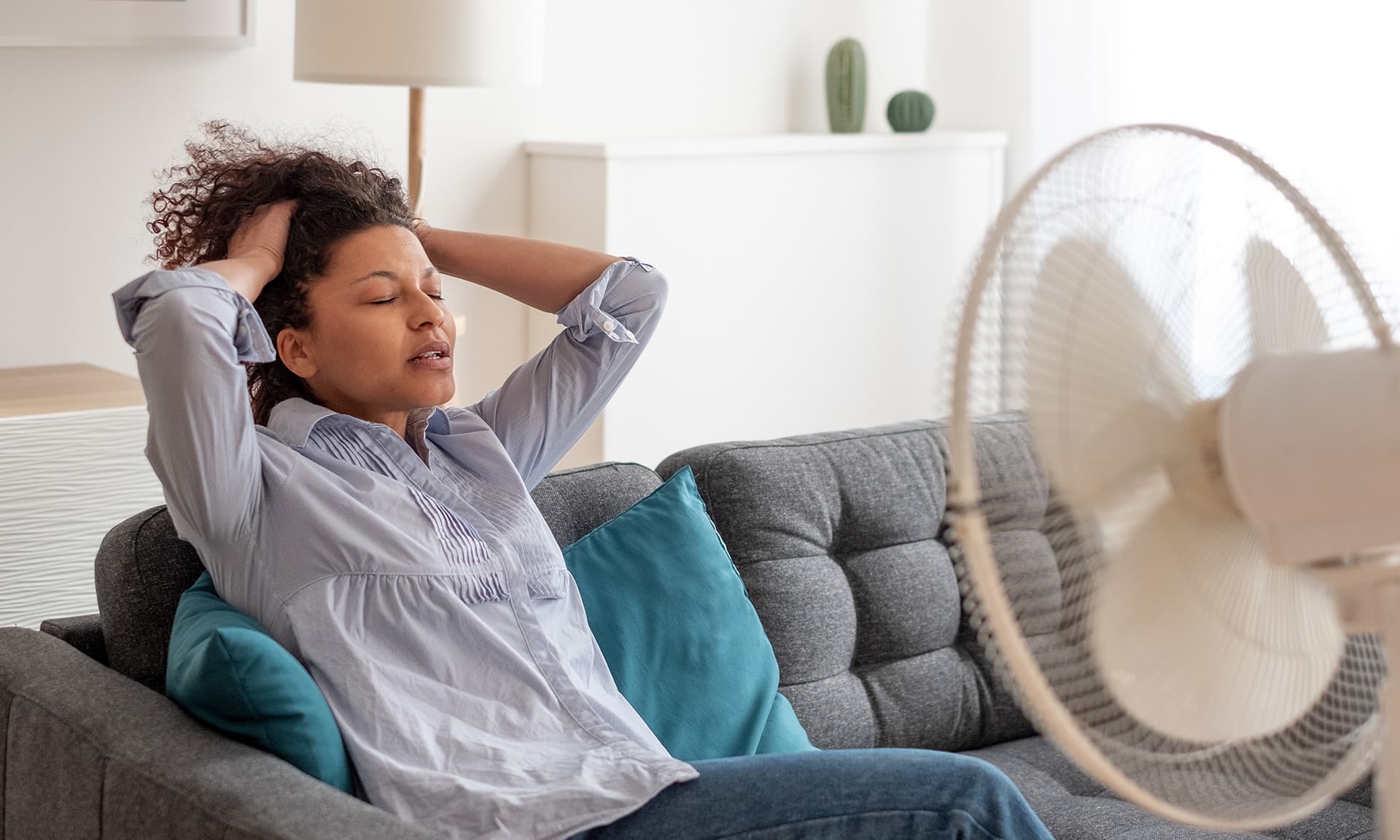 fan