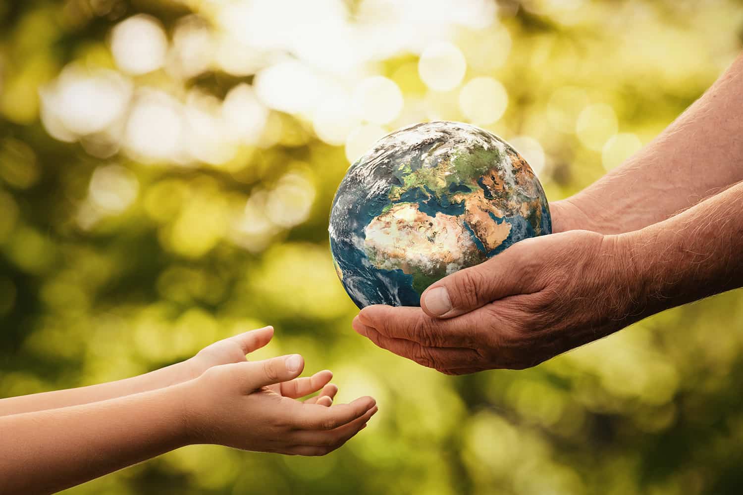 sustainability