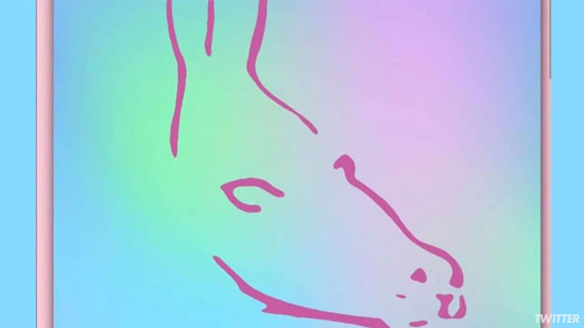 MermaidOpticalIllusion2FacebookThumb