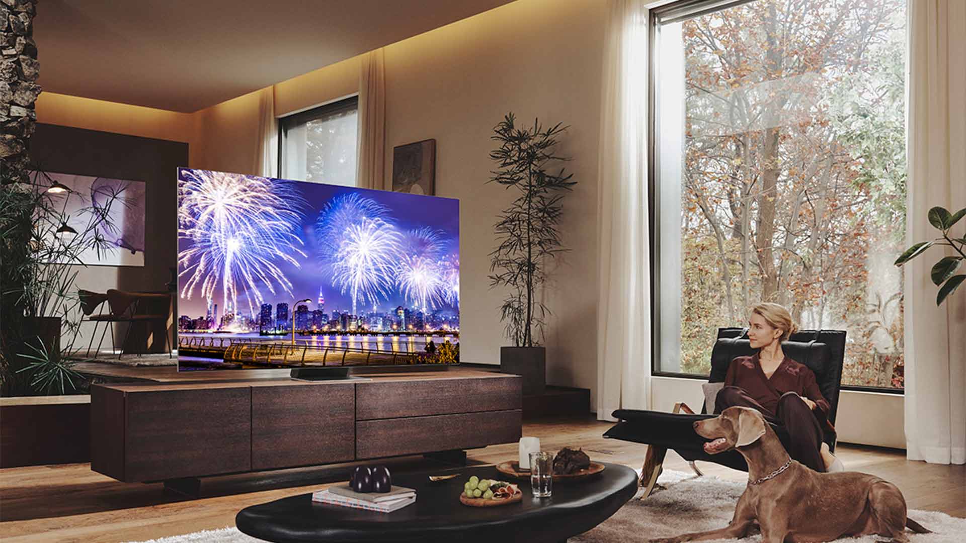 SAMSUNG WEB 1920X1080 TV AUG23