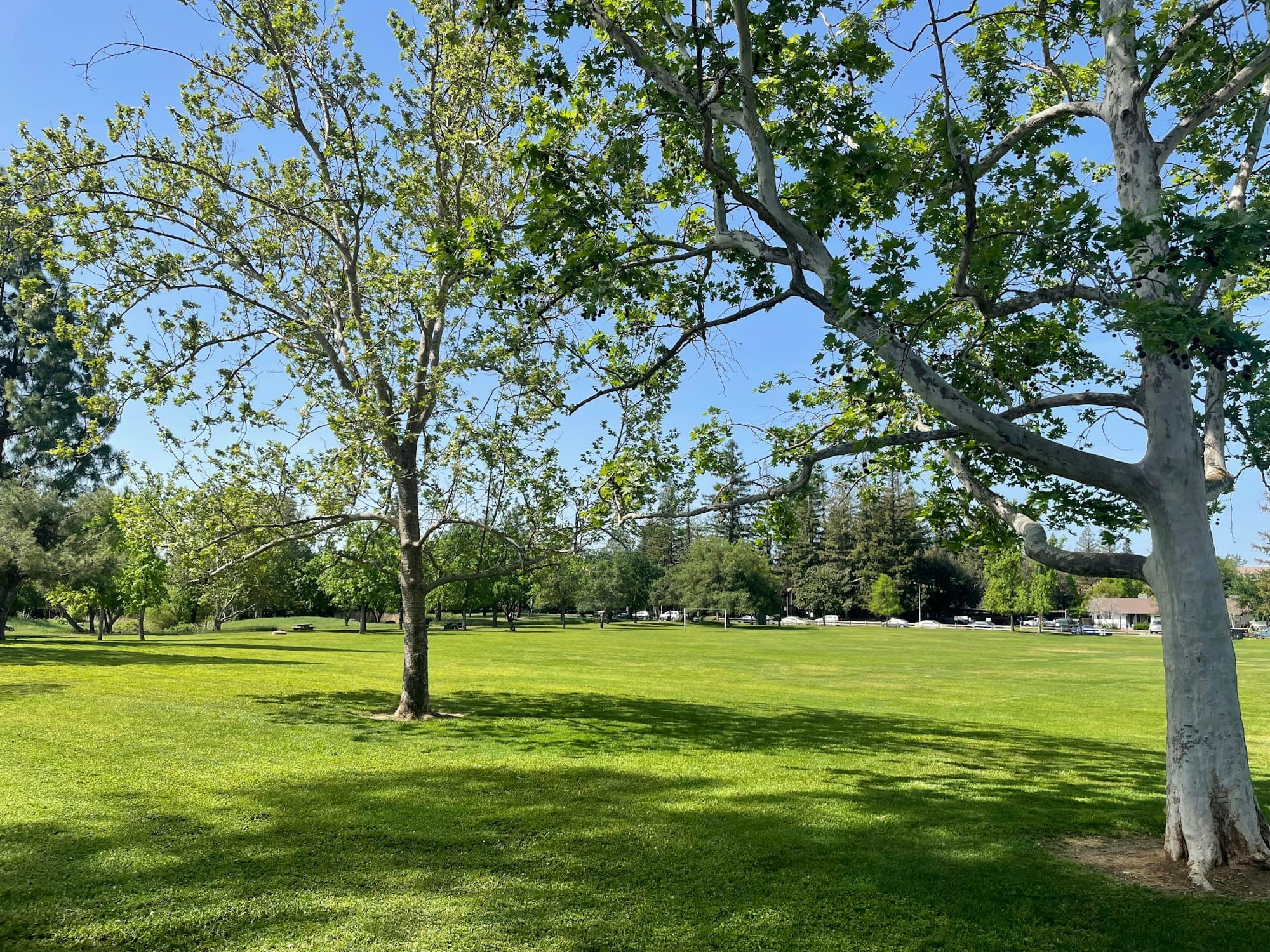 park