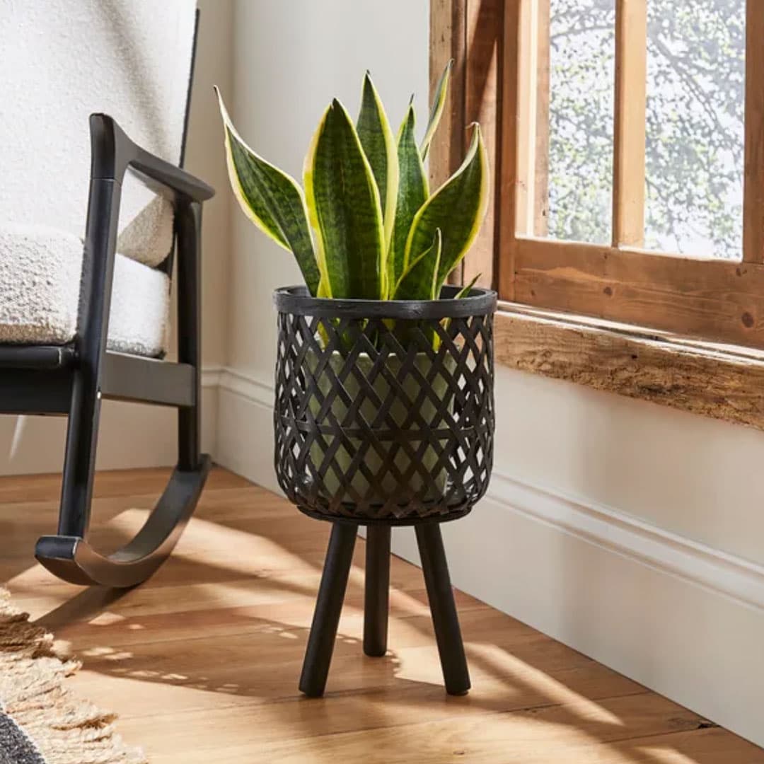 DUNELM-PLANTER